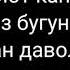 Лавр барги Лавровый лист