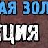 Награда за квест Ржавый НЕ золотая Золотая коллекция Сталкер Онлайн Stalker Online Stay Out
