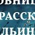 Случайная страсть ИСТОРИЯ Настя Ильина