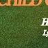 HAPPY Forrest Frank Lyric Video