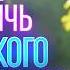 Медитация и дзен Что такое дзен