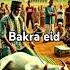 Doing 3 Things On Eid Ul Adhaa Shorts Ytshorts Islam Viral