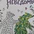 Обзор раскраски Ангелики Штабнер Неведомый мир