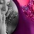 Yahaira Plasencia Feat Sergio George Cobarde New Salsa Nueva Hit 2020 Official Audio