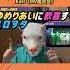 初見MVリアクション Juice Juice トウキョウ ブラー Promotion Edit MV鑑賞会