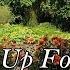 Destiny S Child Stand Up For Love Lyrics