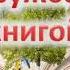 Дружба с книгой