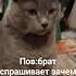 пов брат спрашивает зачем ты снимаешь в Ютюб