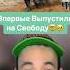 Животные Которых Впервые Выпустили на Свободу Shorts животные птица голубь