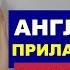 ТОП 5 АНГЛИЙСКИХ ПРИЛАГАТЕЛЬНЫХ ДЛЯ НАЧИНАЮЩИХ НА КАЖДЫЙ ДЕНЬ