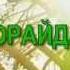ОРАЙДА