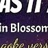 AS LONG AS IT MATTERS GIN BLOSSOMS Karaoke Version