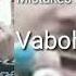 Vaboh Mistakes Before I M Gone
