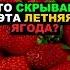 Что скрывает эта летняя ягода клубника здоровье польза похудение рецепты пп еда витамины