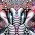 Mindwave A Star We Call Home