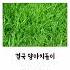 여자 버스기사 성폭행 사건
