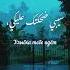 Arabic By Songs Amr Diab Raya арабскийязык Lyrics Arabicmusic Reels Shorts Amrdiab