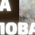 Новый Завет Апокалипсис Что предсказывал Иоанн Богослов