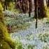 Миролюбова Под гитару Trending природа 2023год 2024 Love забавныемоменты Nature музыка