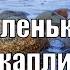 Гимны Надежды 344 Маленькие капли минус