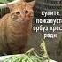 Мемы и лютые приколы приколы лютыеприколы мемы2022 юмор озвучка