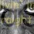 Robbie Williams Old Before I Die Lyrics