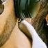 Raja The Great Movie Songs Nake Ne Nachestunna Full Video Song 4K Ravi Teja Mehreen Pirzada