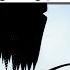 A Close Look At DC S Solicitations For October