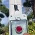 Outdoor High Decibel Safety Emergency One Button Alarm Siren Alarmsystem Security