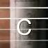 Your Guitar Tuner D Standard Full Step Down D G C F A And D