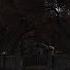 Живые обои S T A L K E R Call Of Chernobyl Red Forest Gate Скачать На рабочий стол Игры