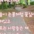 추억의노래 마음은 조약돌 둥글게 살아가리 조약돌 7080음악 박상규 지친하루 마음휴식 부모 그리움 추모 일요일 옛노래 감성