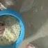 Плов Рецептыотанашки легкиерецепты рецепты плов пловрецепт песня марадджакавов
