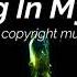 Spring In My Step Silent Partner No Copyright Music