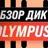 Olympus WS 853 диктофон с хорошим качеством записи Обзор Мнение покупателей