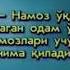 ShayxMuhammadSodiqMuhammadYusuf Qazo Namozi Haqida Batafsil Shayx Muhammad Sodiq Muhammad Yusuf