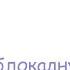 Читаем блокадную книгу 2009