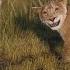भ ई त म र From Mufasa The Lion King