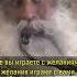 ЧТО ТАКОЕ СОН 90 СНОВИДЕНИЙ ЭТО Shorts садхгуру жизнь
