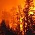 The Deadliest Fire In American History The Great Peshtigo Fire