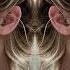 AZAAR NAARA GRAVITY DEEP HOUSE 2024 XIT MUSIC SUMMER MIX CHILL OF BEST TREND