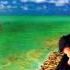 Mike The Mechanics A Beggar On A Beach Of Gold 432 Hz