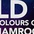 Shamrock Hold On Neocolours Cover Official Lyric Video