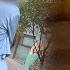 蛊惑帮 假名媛 百人斬 只把男人當工具 炫錢炫顏炫姿勢 簡直刷三觀 最後竟當街被打臉