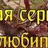 Лучшая книга для любителей средневековья Проклятые короли