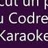 S A Nascut Un Printisor Karaoke