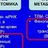 Трансляция научных знаний через НМО фокус на технологии персонализированной медицины