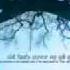 YouTube Waheguru Simran