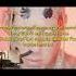 Tom Macdonald Sheeple Tom Macdonald FanClub Tom Macdonald Lyrics Video