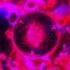BRODYAGA FUNK SLOWED REVERB Shorts Funk Phonk Phonkmusic Viral Tiktok